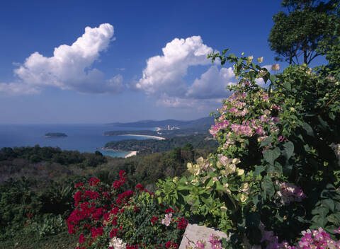 Asien, Thailand, Phuket, Landschaft, Blumenblüte im Vordergrund, lizenzfreies Stockfoto
