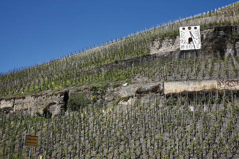 Deutschland, Rheinland-Pfalz, Bernkastel-Kues, Sonnenuhr im Weinberg, lizenzfreies Stockfoto