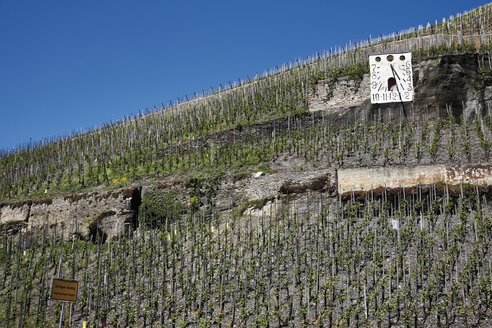 Deutschland, Rheinland-Pfalz, Bernkastel-Kues, Sonnenuhr im Weinberg - 11940CS-U