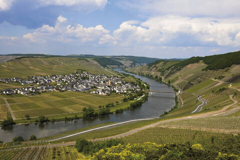 Deutschland, Rheinland-Pfalz, Mosel bei Trittenheim, lizenzfreies Stockfoto