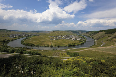 Deutschland, Rheinland-Pfalz, Mosel bei Trittenheim - 11905CS-U