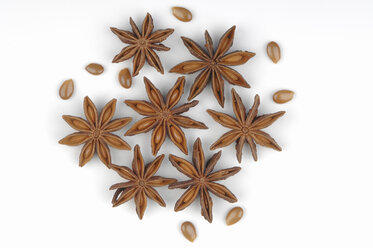 Star anise (Illicium verum) - ASF03947