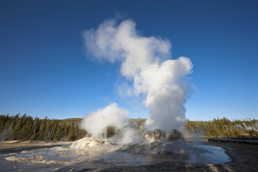 USA, Yellowstone Park, Grotto Geysir - FOF01763