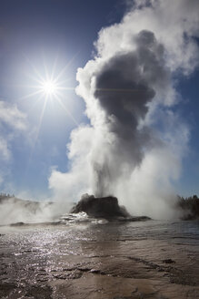 USA, Yellowstone Park, Wyoming, Castle Geysir - FOF01760