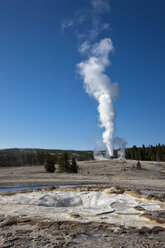 USA, Yellowstone Park, Wyoming, Castle Geysir - FOF01756