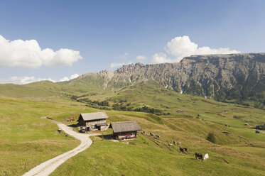 Italien, Südtirol, Seiseralm, Gebirgslandschaft, Blick von oben - WESTF13697