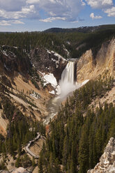 USA, Yellowstone Park, Untere Yellowstone-Fälle - FOF01861