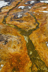 USA, Yellowstone Park, Heiße Quelle - FOF01810