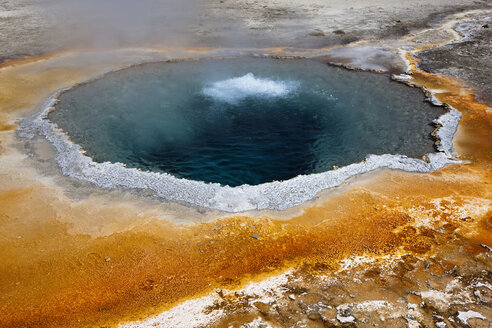 USA, Wyoming, Yellowstone Park, Crested Pool - FOF01798