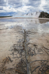 USA, Wyoming, Grand Prismatic Spring, dead tree in foreground - FOF01793