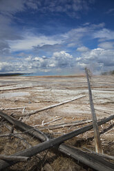 USA, Wyoming, Yellowstone National Park, Grand Prismatic Spring with fallen trees - FOF01791