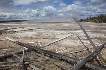 USA, Wyoming, Yellowstone National Park, Grand Prismatic Spring mit abgestorbenen Bäumen - FOF01790