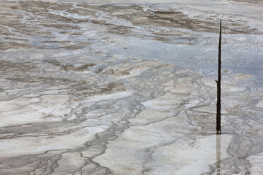 USA, Wyoming, Yellowstone National Park, Grand Prismatic Spring mit abgestorbenen Bäumen, Nahaufnahme - FOF01786