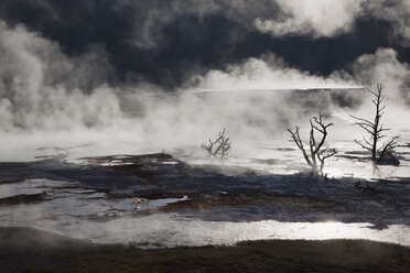 USA, Wyoming, Yellowstone-Nationalpark, Mammoth Hot Springs Terrace - FOF01774