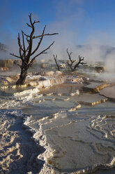 USA, Wyoming, Yellowstone-Nationalpark, Mammoth Hot Springs Terrace - FOF01773