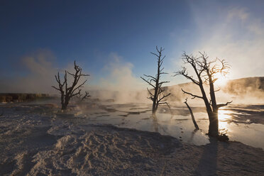 USA, Wyoming, Yellowstone-Nationalpark, Mammoth Hot Springs Terrace - FOF01771