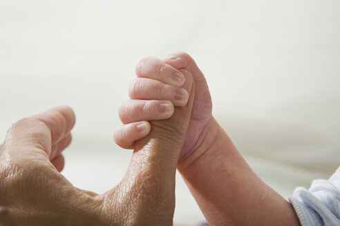Vater hält die Hand des Babys, Nahaufnahme - LDF00816