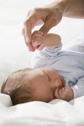 Father holding baby girls (0-4 weeks) hand - LDF00813