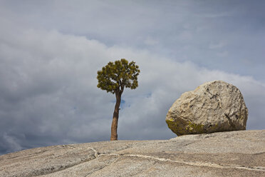 USA, Kalifornien, Yosemite-Nationalpark, Olmsted Point, Granitgestein und Jeffrey-Kiefer (Pinus jeffreyi) - FOF01891