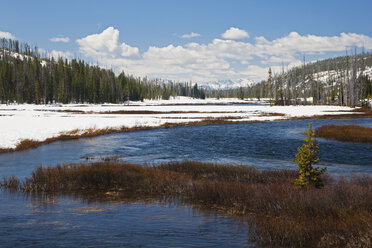 USA, Yellowstone Park, Lewis River - FOF01864