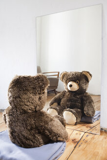 Teddy sitzt vor dem Spiegel - JRF00124