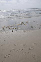 Deutschland, Schleswig Holstein, Amrum, Fischzeichnungen am Sandstrand - AWDF00431