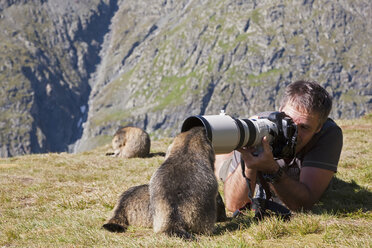 Österreich, Großglockner, Mann beim Fotografieren von Murmeltieren (Marmota marmota) - FOF01937