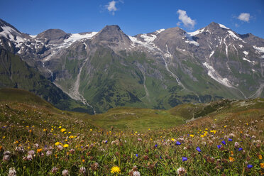 Österreich, Landschaft am Breitkopf und Hohe Dock - FOF01903