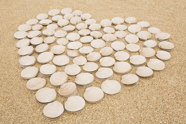 Neuseeland, Muschelschalen als Herz auf Sand - GWF01069