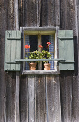 Österreich, Salzkammergut, Gosau, Bauernhaus mit Topfpflanzen auf einer Fensterbank - WWF01086