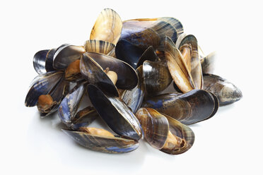 Blue mussels, elevated view - MAEF02004