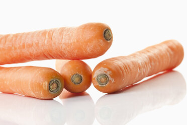 Four carrots - MAEF01946