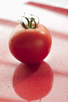 Reife Tomate mit Wassertropfen - MAEF01944