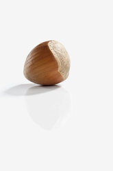 Single Hazelnut - MAEF01928