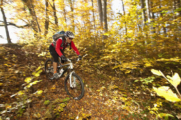 Germany, Bavaria, Woman mountain biking - FFF01094