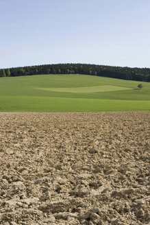 Österreich, Land Salzburg, Blick auf ländliche Landschaft Feld - WWF01185