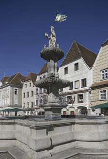 Österreich, Steyr, Springbrunnen mit Rathaus im Hintergrund - WWF01170