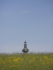 Austria,Weissenkirchen, Close up of grass, church in background - WWF01161