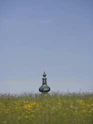 Österreich, Weißenkirchen, Nahaufnahme von Gras, Kirche im Hintergrund - WWF01161