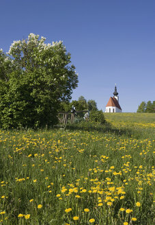 Österreich,Weißenkirchen, Kirche in ländlicher Landschaft - WWF01160