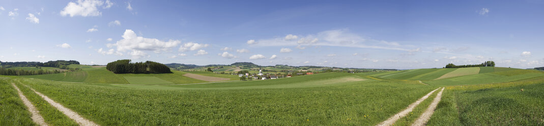 Weg durch eine Graslandschaft. - WWF01150