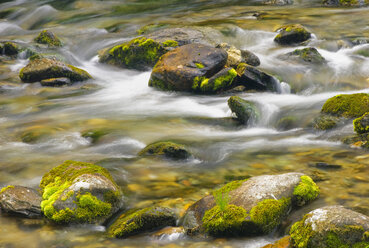 Italien, Südtirol, Fluss - SMF00519