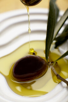 Olivenöl über eine Olive gegossen, Ansicht von oben, Nahaufnahme - SCF00373