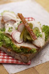 Sandwich with roast pork, crust, radish and chives, elevated view - SCF00366