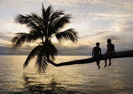 Thailand, Koh Phangan, Two boys (12-13) hanging out on palm tree overlooking ocean, rear view - RNF00082