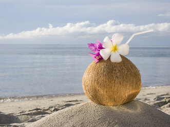 Asien, Thailand, Koh Samui, Cocktail in Kokosnussschale am Sandstrand - RNF00081