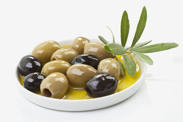 Olives deeped in olive oil against white background - MAEF02175