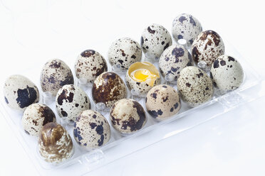 Spotted Quail eggs in egg box with one broken, elevated view - MAEF02122