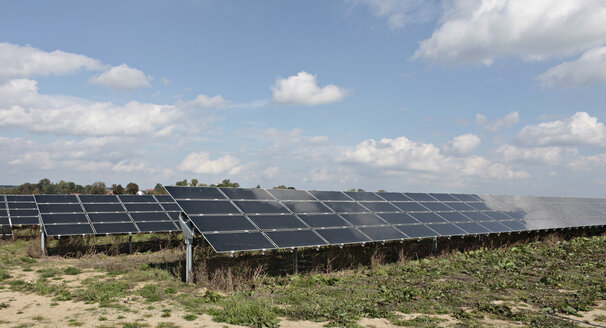 Germany, Bavaria, Penzing, Solar cells on solar plant - KSF00079
