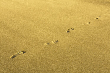 Italien, Fußspuren im Sand, Blick von oben - GWF01086